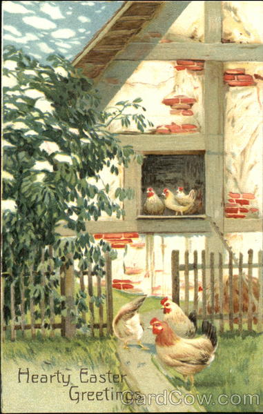Chickens in a farm yard With Chicks