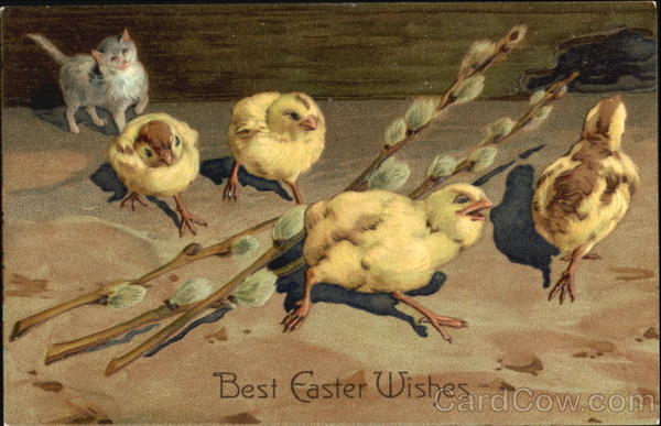 Easter Chicks with Kitten With Chicks