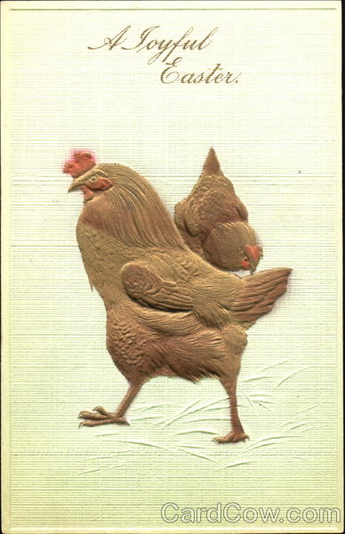Two Brown Roosters With Chicks