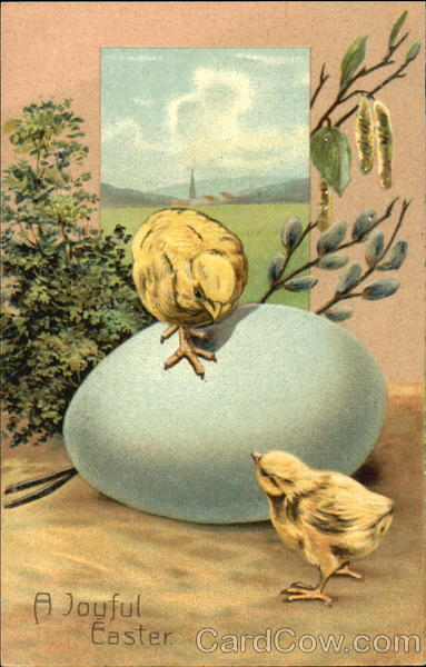 Easter Chicks With Chicks