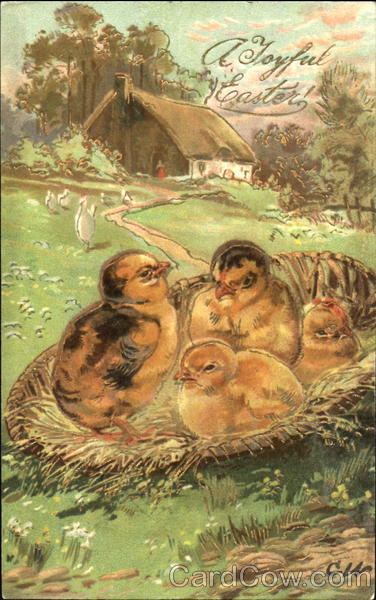 Four Easter Chicks With Chicks