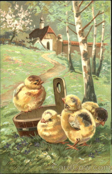 Four Curious Chicks With Chicks