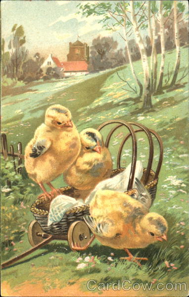 Chicks in a cart With Chicks