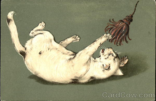White Cat playing with tassel Cats
