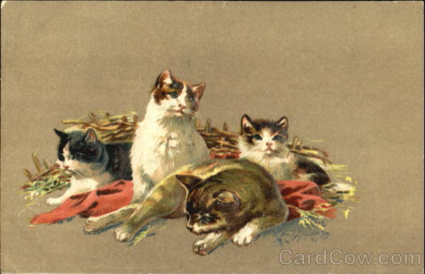 Mommy Kitty and her Baby Kitties Cats