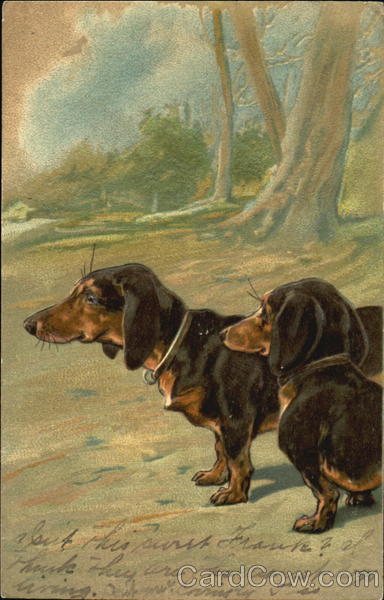 Two Dachsunds in Woods Dogs