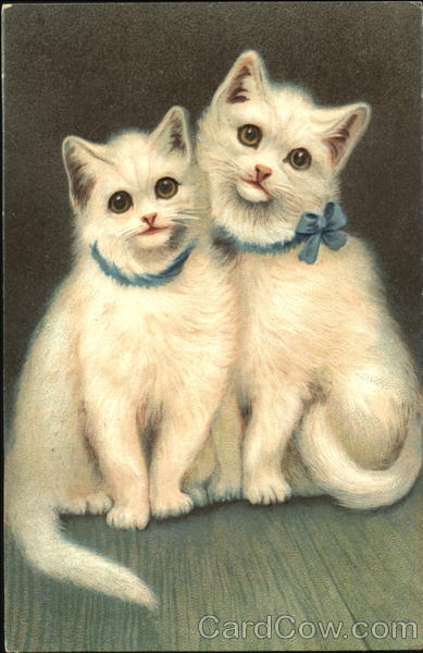 Two White Kittens With Bow Cats