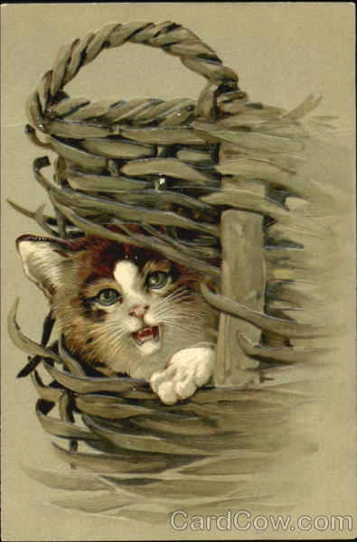 Kitten Escaping Basket Cats