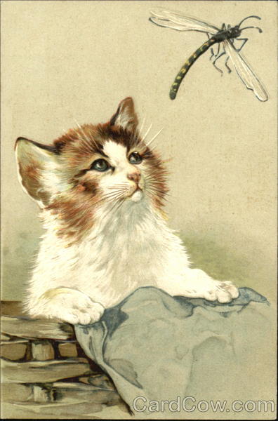 A Kitten and a Dragonfly Cats
