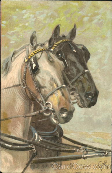 Harnessed Horses against a gray sky