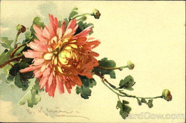 Painting of Flowers C. Klein