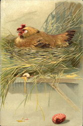 Chicken sitting on her nest With Chicks Postcard Postcard