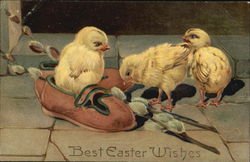 Easter chicks and shoes Postcard