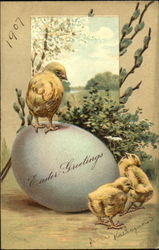 Three Easter chicks and an egg Postcard