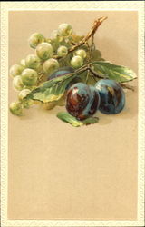 Grapes and Plums Postcard