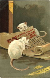 Two white rats Postcard