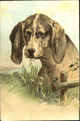 Dog with Fence and Field Postcard