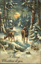 Snowy Forest Scene with Deer Postcard