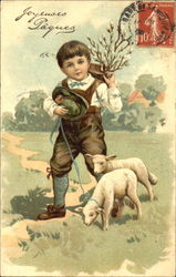 The Lamb of Joy With Lambs Postcard Postcard