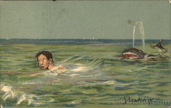 Man in ocean with shark behind him Donadini Jr. Fish