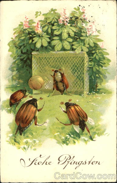 Bugs Playing Soccer Fantasy