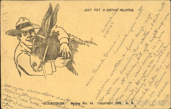 Just Met A Distant Relative Donkeys