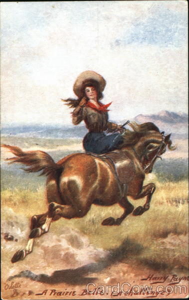 The Wild West Harry Payne Cowboy Western
