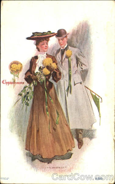 Chrysanthemums Flowers