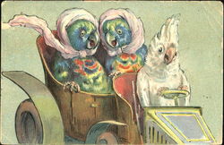 Birds Driving in a Car Postcard