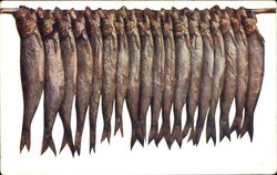 Fish on Rod Fish on Rod