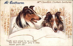 At Eastbourne Mrs Caudle's Curtain Lectures Postcard