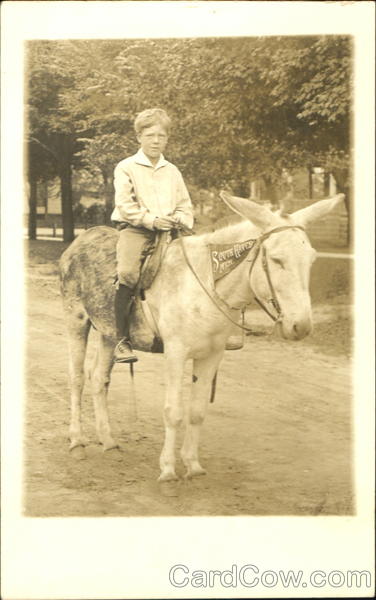 Boy on White Mule South Haven Michigan Donkeys