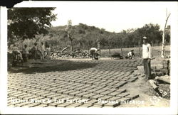 Native Brick & Tile Factory Panama Postcard Postcard