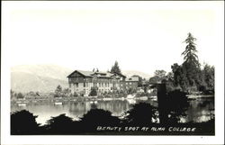 Beauty spot at Alma College Michigan Postcard Postcard