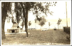 Scene In Lake Front Park Postcard