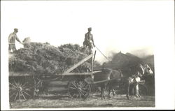 Hay Wagon with Horses Farming Postcard Postcard