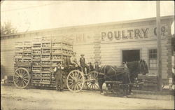 Farmers bringing chickens to the slaughterhouse Postcard