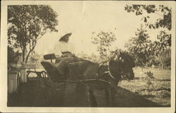 Woman driving a pony-pulled cart Postcard