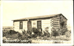 Roosevelt Cabin Postcard