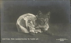Waiting For Something To Turn Up Postcard