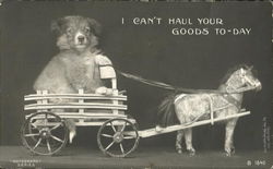 I can't haul your goods today Postcard