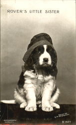 Rover's Little Sister Postcard