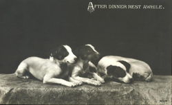 After Dinner Rest Awhile Postcard