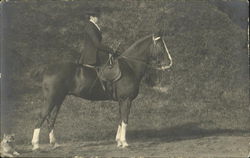 Woman riding a horse sidesaddle Postcard