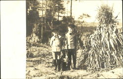 Boys with Dog Postcard