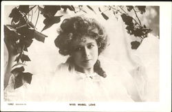 Miss Mabel Love Postcard