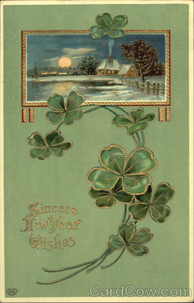 Sincere New Year Wishes New Year's