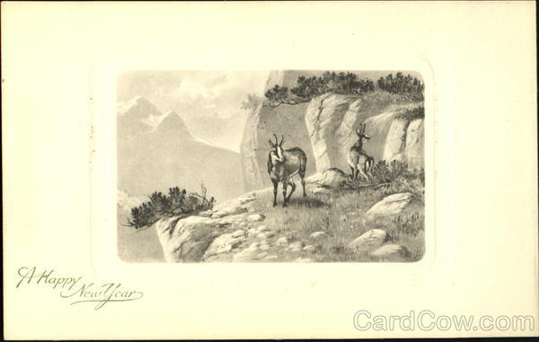 A Happy New Year New Year's