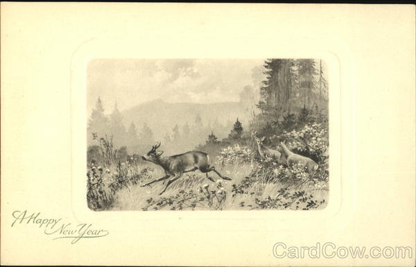 A Happy New Year New Year's