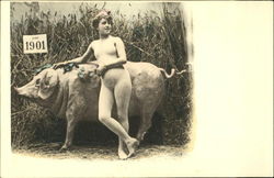 1901 - Nude with Pig Postcard